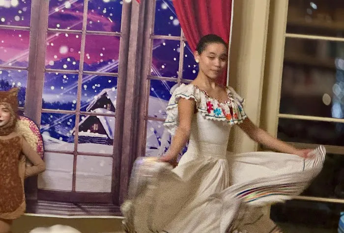 Marin Dance Theatre Picture 7