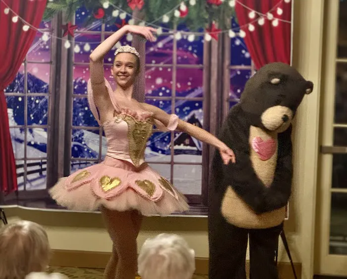 Marin Dance Theatre Picture 4