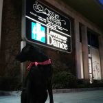Livermore School of Dance