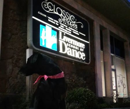 Livermore School of Dance