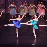 Valley Dance Theatre ico