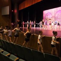 Tiffany's Dance Academy of Livermore ico