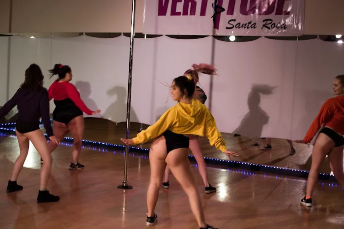 The Vertitude Santa Rosa Pole Dance Studio Picture 6