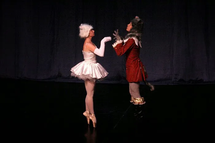 New World Ballet Picture 4