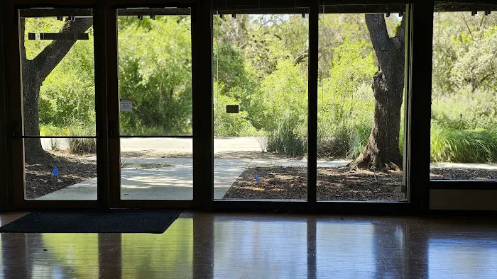 Della Davidson Performance Studio Picture 4