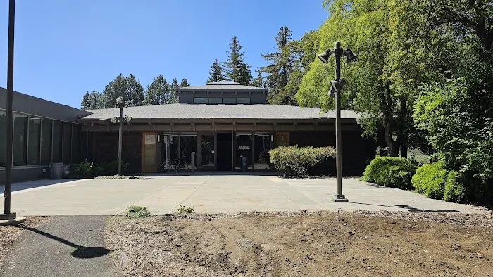 Della Davidson Performance Studio Picture 2