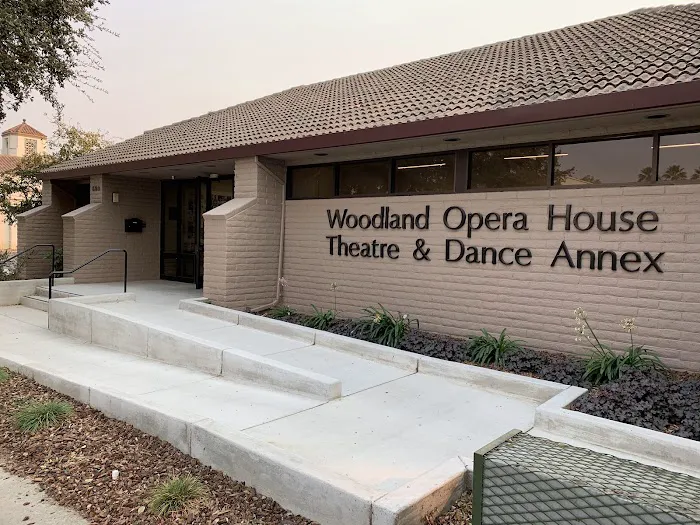 Woodland Opera House Theatre & Dance Annex Picture 2