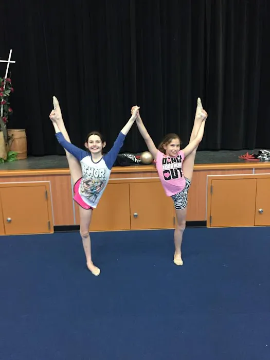 Global Rhythmic Gymnastics Picture 8