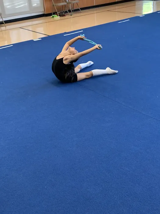 Global Rhythmic Gymnastics Picture 9