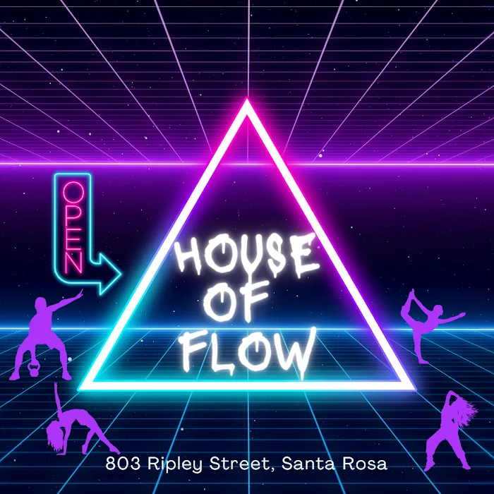 House of Flow Picture 10