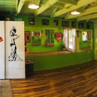 Sol Flamenco Music & Dance ico
