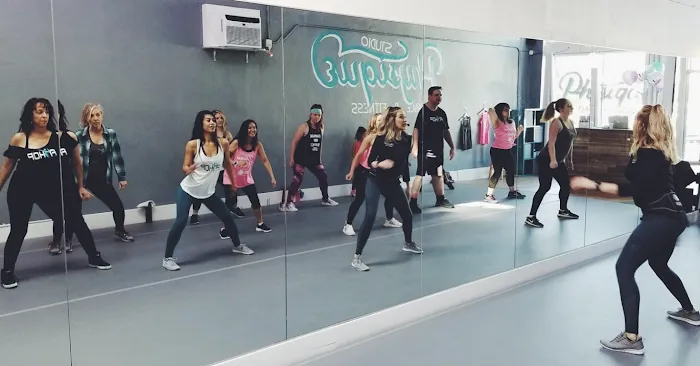 Dance Physique & Studio Rental Picture 4