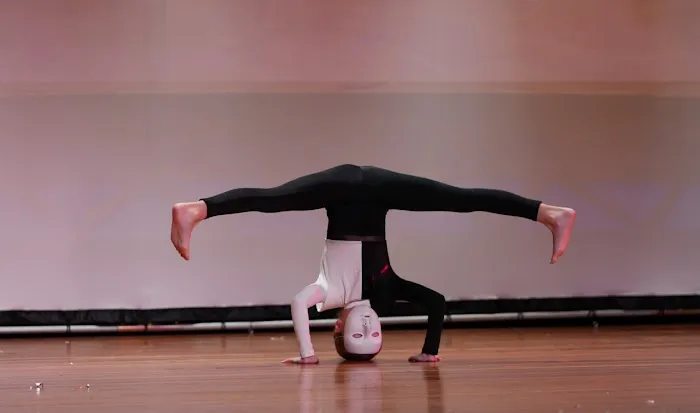 Royal Sport & Dance Lab Picture 1