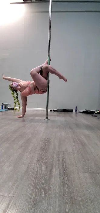 Vibe Aerial Arts & Dance Picture 9