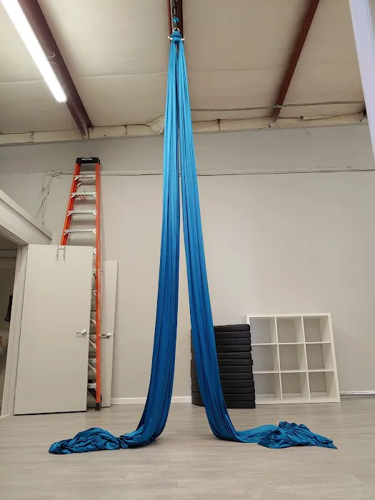 Vibe Aerial Arts & Dance Picture 2