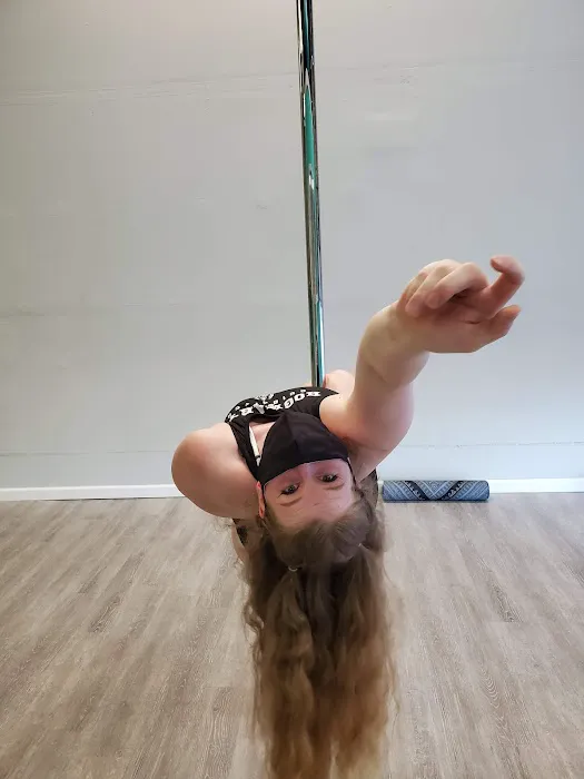 Vibe Aerial Arts & Dance Picture 4