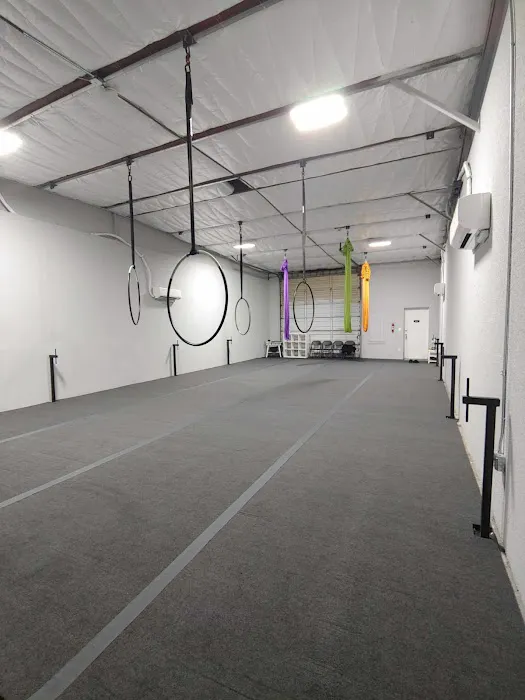 Vibe Aerial Arts & Dance Picture 6