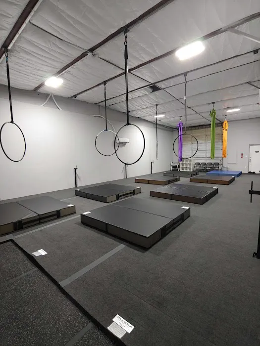 Vibe Aerial Arts & Dance Picture 1