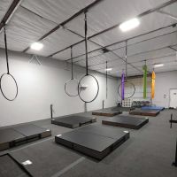 Vibe Aerial Arts & Dance ico