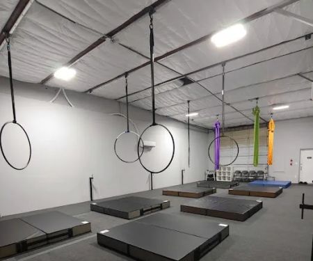 Vibe Aerial Arts & Dance