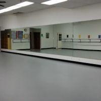 The Ballet Studio ico