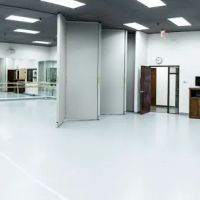 Leighton Dance Project ico