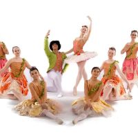 Divergence Dance Conservatory ico