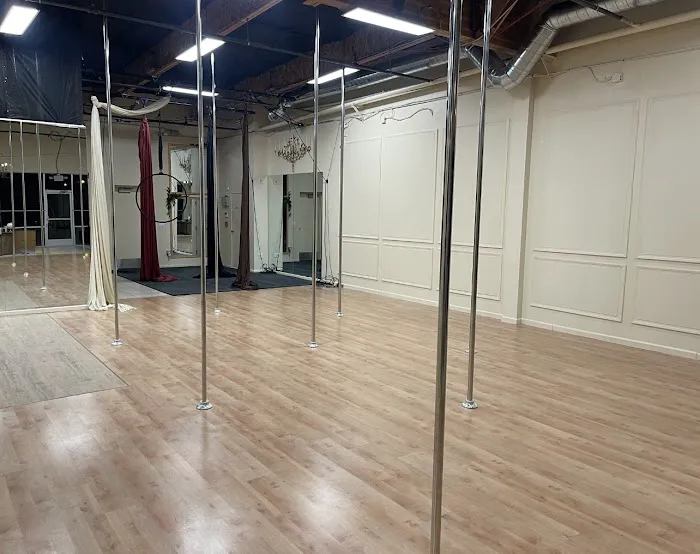 Monarch Pole Dance Picture 4
