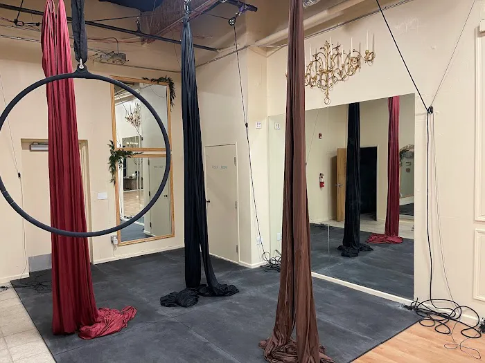 Monarch Pole Dance Picture 6