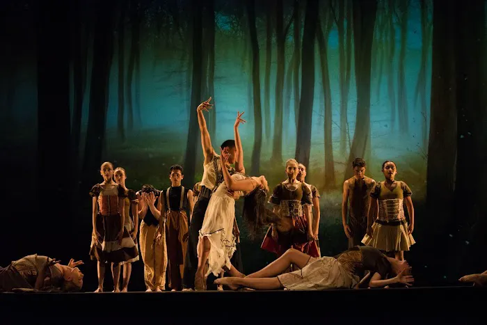 Northern California Dance Conservatory Picture 2