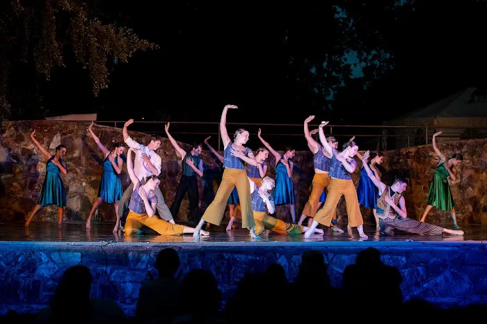 Northern California Dance Conservatory Picture 6