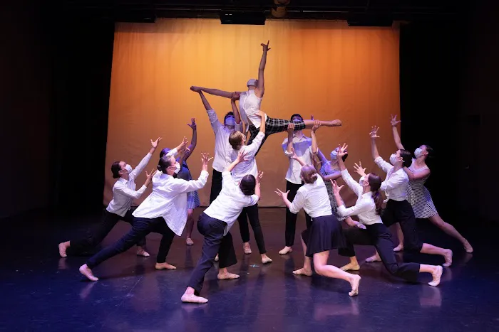 Northern California Dance Conservatory Picture 7