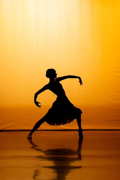 Northern California Dance Conservatory Picture 4
