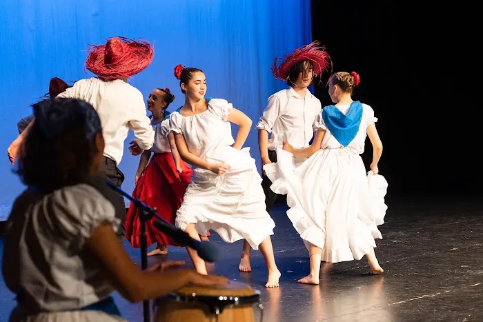International Dance Arts Collective (IDAC) Picture 2