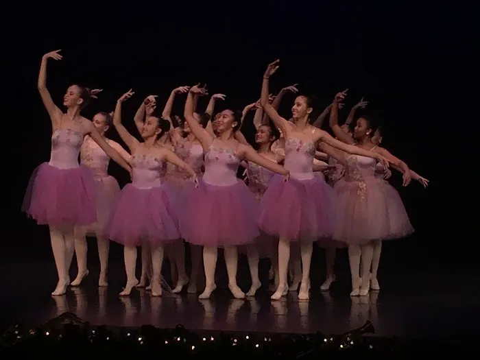 Elite Studio of Dance Picture 5