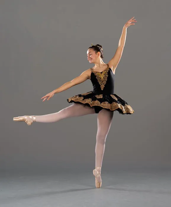 Arias to the Pointe Picture 3