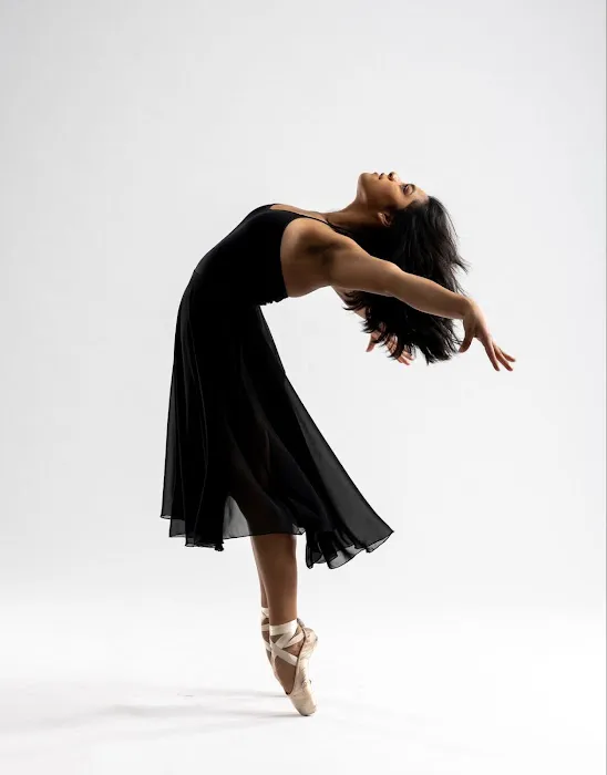 Arias to the Pointe Picture 5