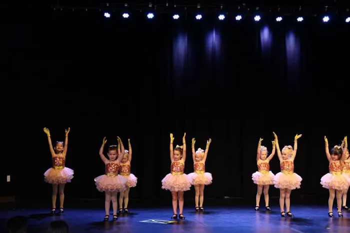 Rocklin Academy of Dance Picture 3