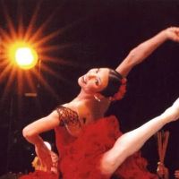 International Ballet Theater Institute ico