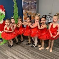 Twinkle Toes Dance Studio ico