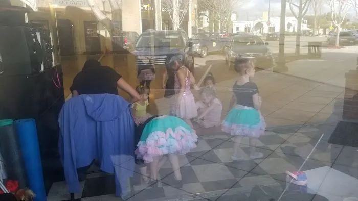 The Academy of Performing Arts Picture 2
