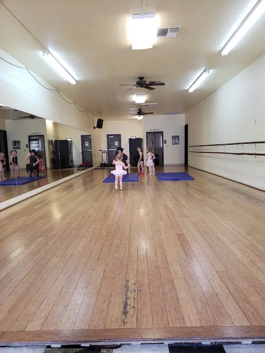 The Academy of Performing Arts Picture 10