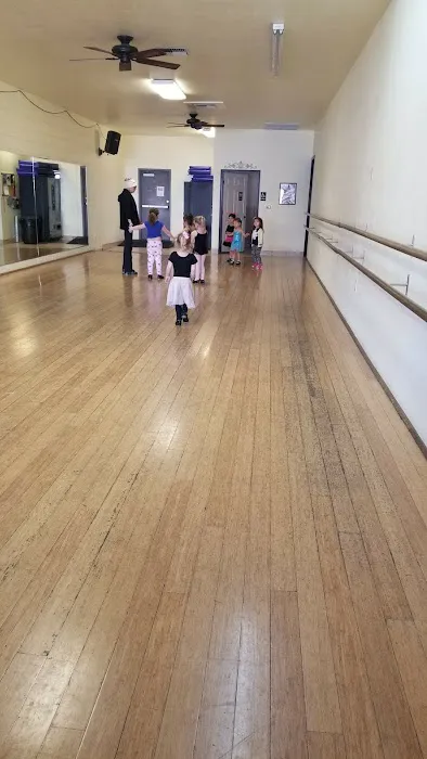 The Academy of Performing Arts Picture 7