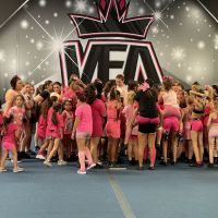 Victorious Elite Allstars ico