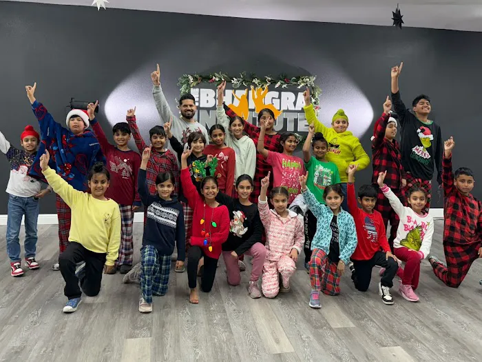 The Bhangra Institute Picture 8