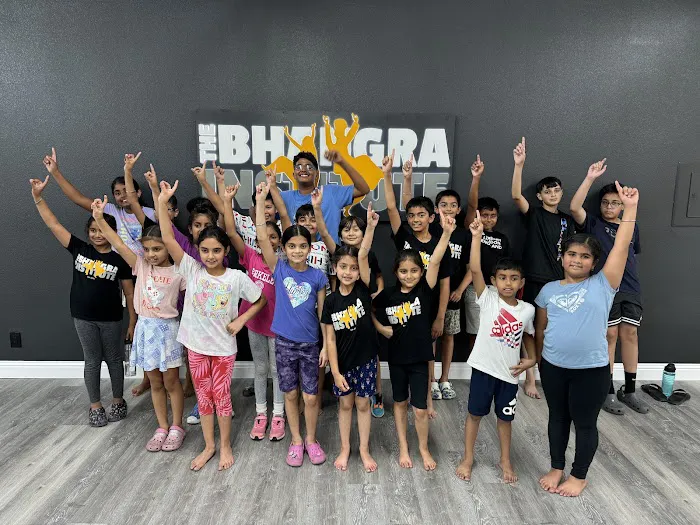 The Bhangra Institute Picture 1