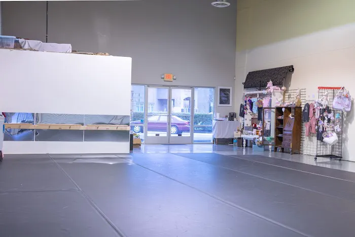 Elevate Dance Studio Picture 2