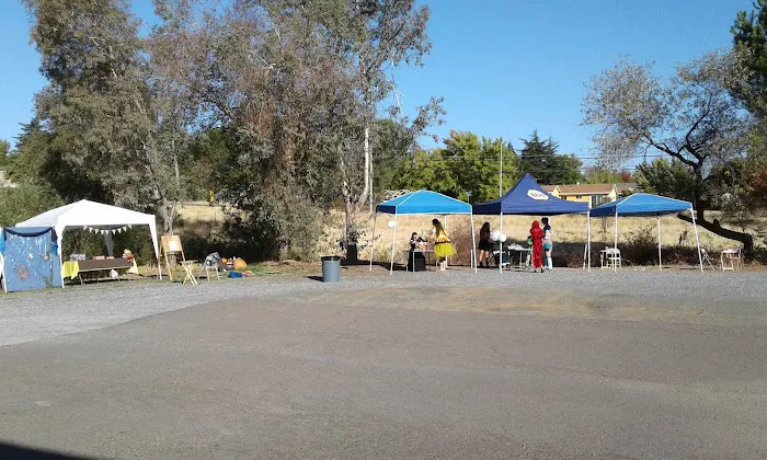 Music & More Arts Academy Picture 5