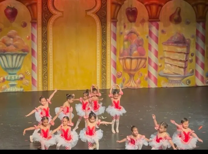 Livermore Ballet Mountain House Studio Picture 5