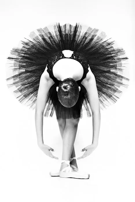 The Studio Performing Technique Dance School Picture 2
